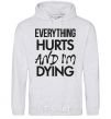 Men`s hoodie Everything hurts and i'm dying sport-grey фото