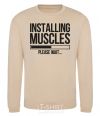 Sweatshirt Installing muscles sand фото