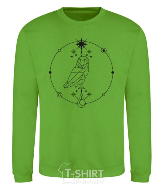 Sweatshirt Owl geometry orchid-green фото