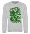 Sweatshirt Dragon green sport-grey фото