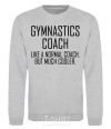 Sweatshirt Gymnastic coach cooler sport-grey фото