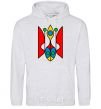 Men`s hoodie Trident modernized sport-grey фото