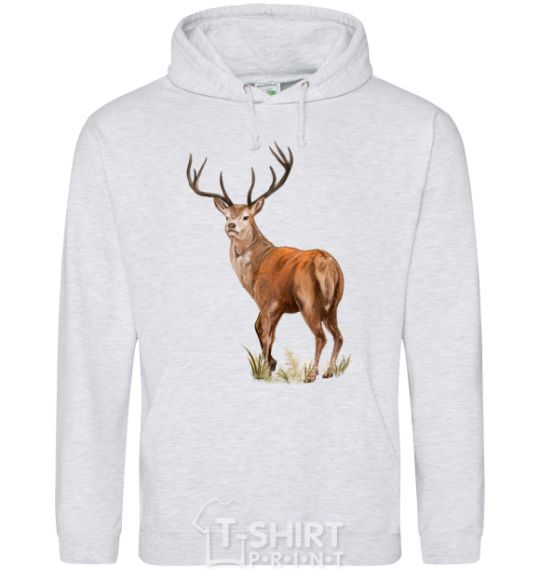 Men`s hoodie Reindeer drawing sport-grey фото