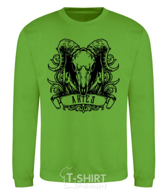 Sweatshirt Aries skull orchid-green фото