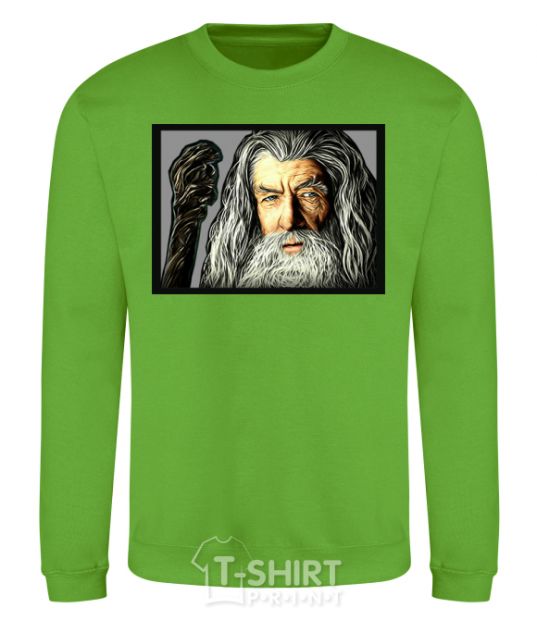 Sweatshirt Gandalf orchid-green фото