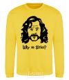 Sweatshirt Why so Sirius yellow фото