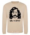 Sweatshirt Why so Sirius sand фото