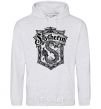 Men`s hoodie Slytherin logo sport-grey фото