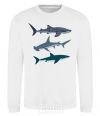 Sweatshirt Three sharks White фото
