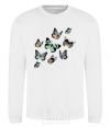 Sweatshirt A drawing of butterflies White фото