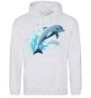 Men`s hoodie Dolphin leap sport-grey фото