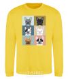 Sweatshirt Bulldog popart yellow фото