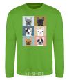 Sweatshirt Bulldog popart orchid-green фото