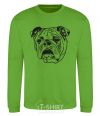 Sweatshirt Sad bulldog orchid-green фото