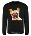 Sweatshirt Multicolor bulldog black фото