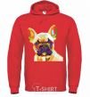 Men`s hoodie Multicolor bulldog bright-red фото