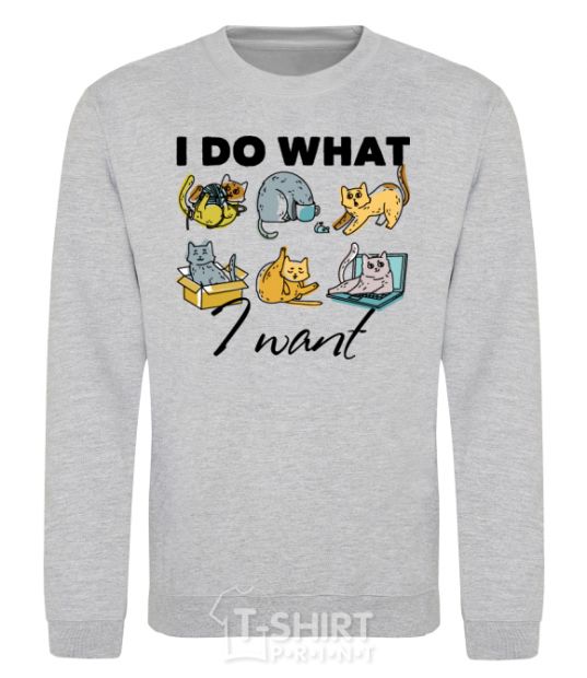 Sweatshirt I do what i want sport-grey фото