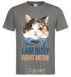 Men's T-Shirt I am busy right meow dark-grey фото