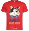 Men's T-Shirt I am busy right meow red фото