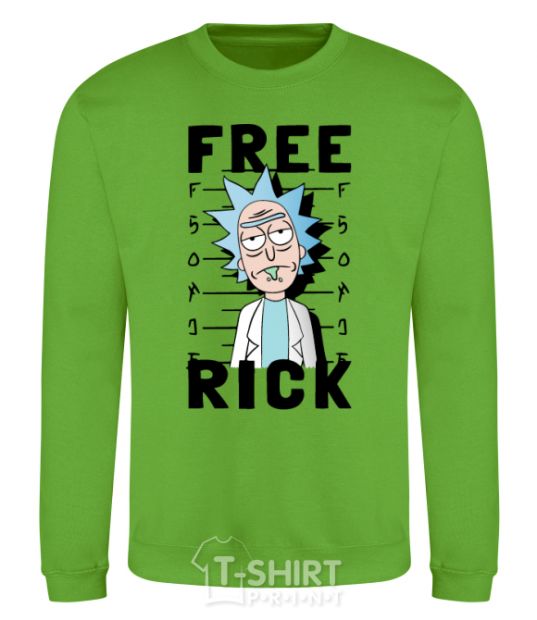 Sweatshirt Free Rick orchid-green фото