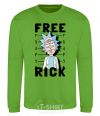 Sweatshirt Free Rick orchid-green фото