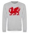 Sweatshirt Red Dragon sport-grey фото