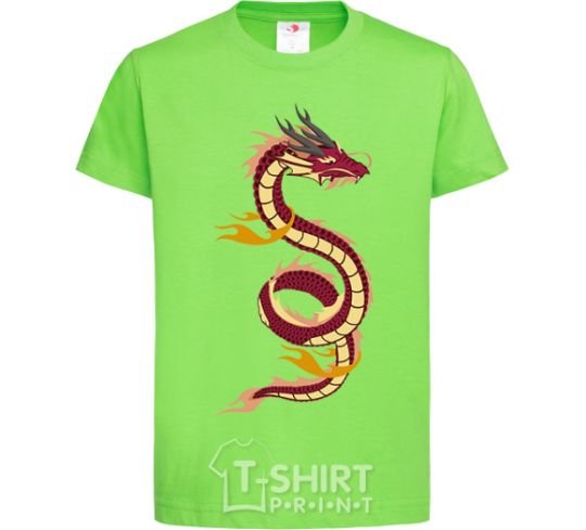 Kids T-shirt Burgundy Dragon orchid-green фото