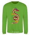 Sweatshirt Burgundy Dragon orchid-green фото