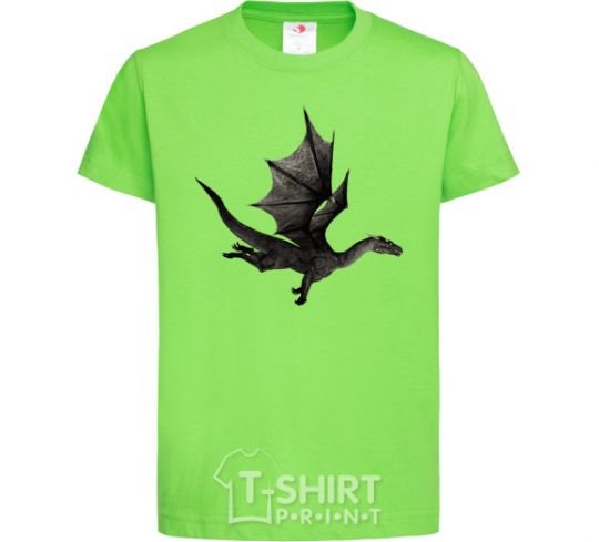 Kids T-shirt Old flying dragon orchid-green фото