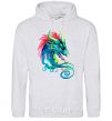 Men`s hoodie Pastel dragon sport-grey фото