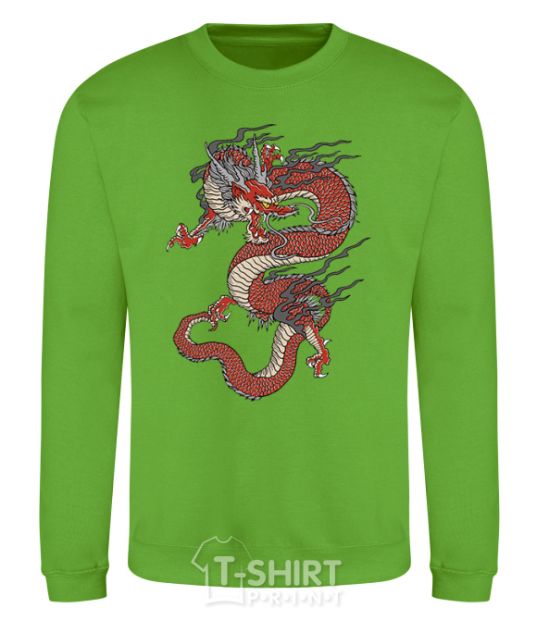 Sweatshirt Dragon цветной orchid-green фото