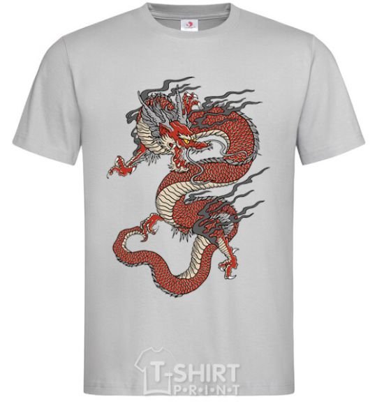 Мужская футболка Dragon цветной Серый фото