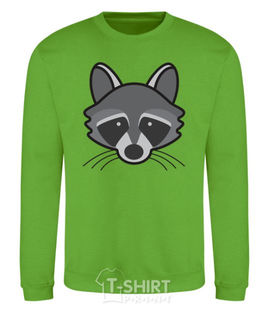 Sweatshirt Raccoon orchid-green фото