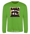 Sweatshirt Brown raccoon orchid-green фото