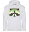 Men`s hoodie Raccoon green sport-grey фото