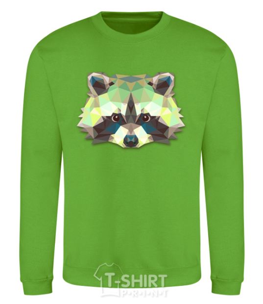 Sweatshirt Raccoon green orchid-green фото