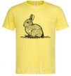 Мужская футболка Кролик штрихи Лимонный фото