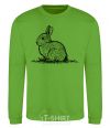 Sweatshirt Rabbit strokes orchid-green фото