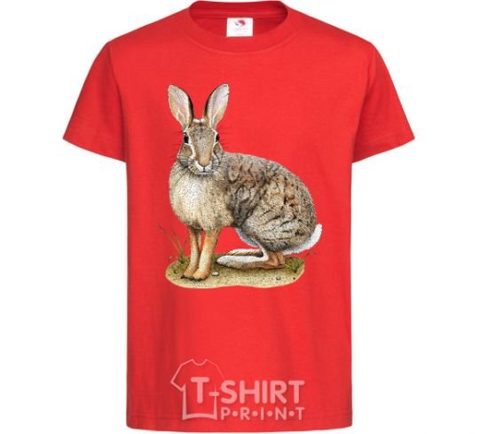 Kids T-shirt Brush rabbit red фото