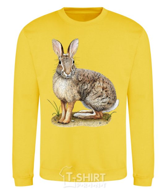 Sweatshirt Brush rabbit yellow фото