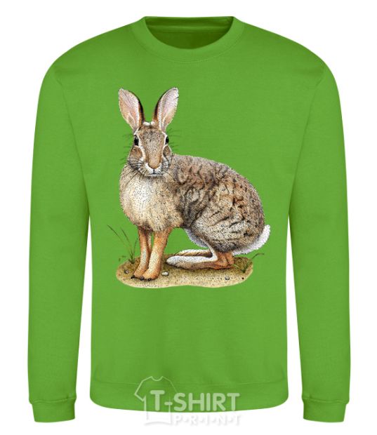 Sweatshirt Brush rabbit orchid-green фото