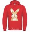 Men`s hoodie Red rabbit bright-red фото