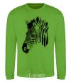 Sweatshirt Zebra face orchid-green фото